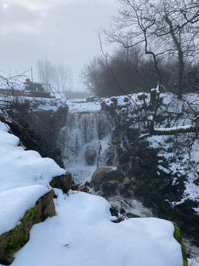 Gite La Janiat Montigny-sur-l'Ain Extérieur photo